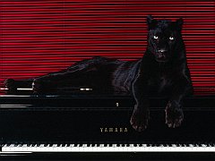 Ebony and Ivories